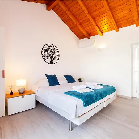 Alegria's House * Одиашере